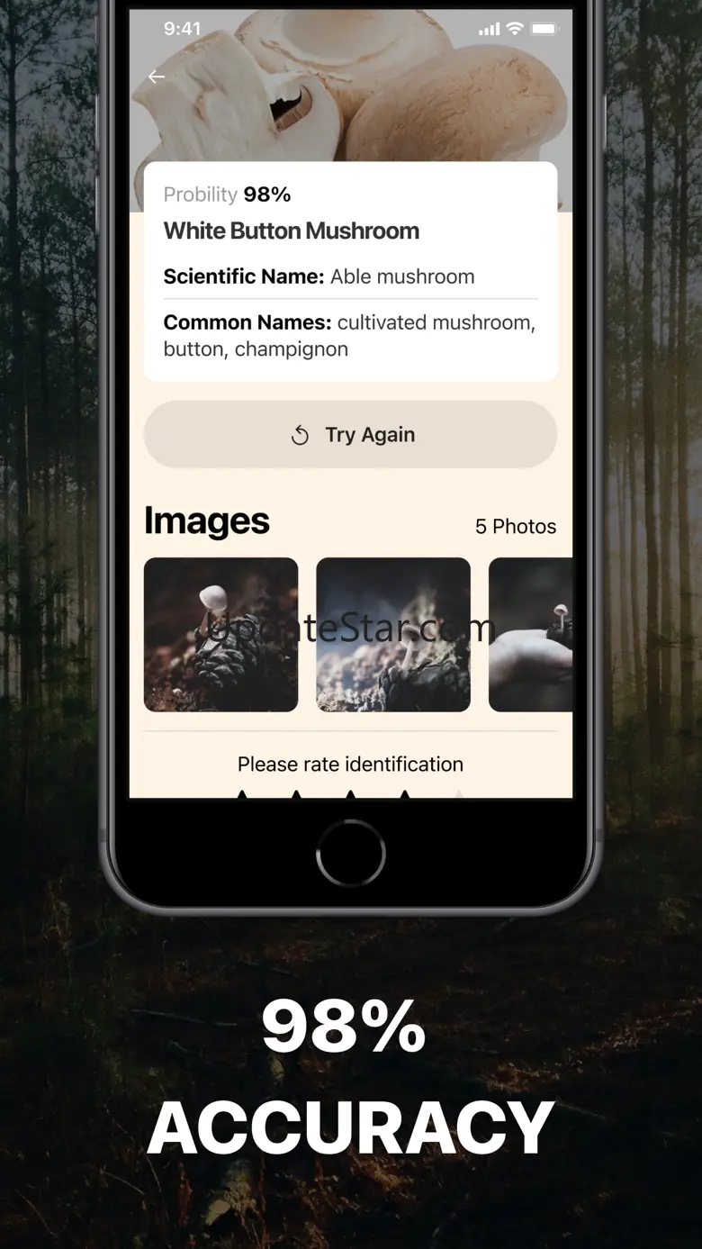 Mushroom Identification. 1.6.2
