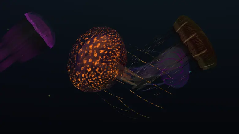 Jelly Dream 1.0