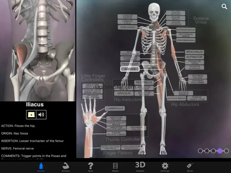 Muscle & Bone Anatomy 3D 5.7