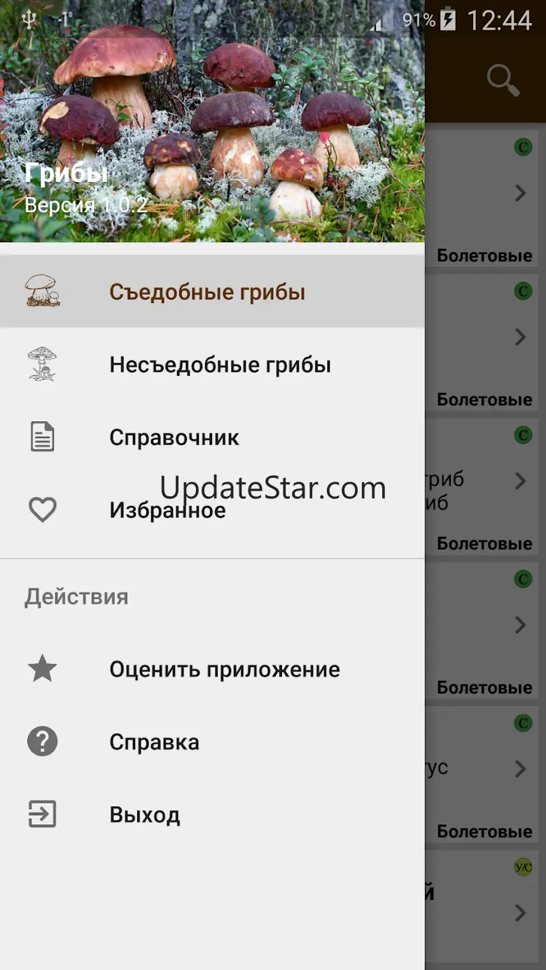 Грибы