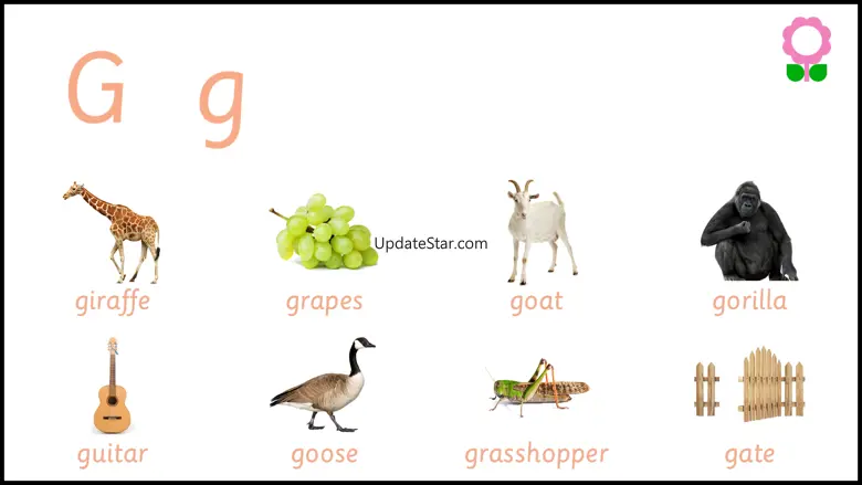 Alphabets Vocabulary for Kids 3.0