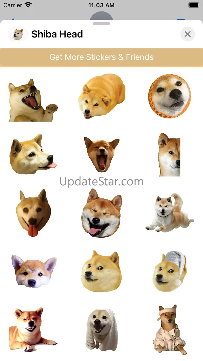 Shiba Dog's Head 4.1