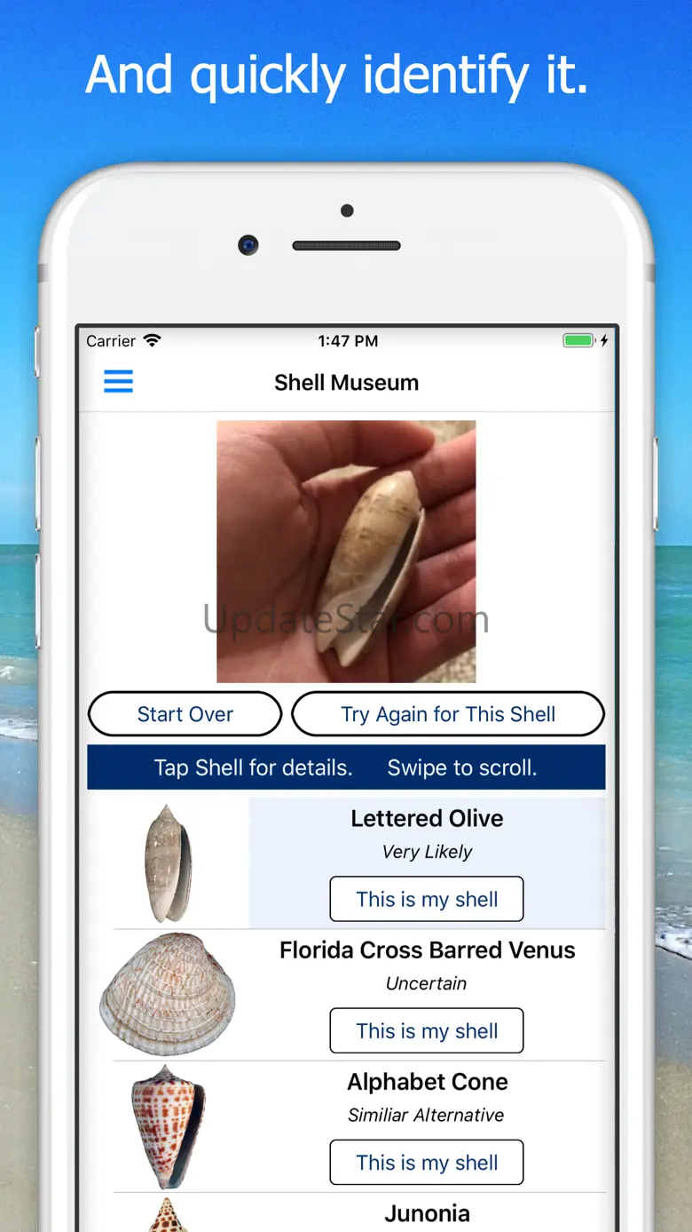 Shell Museum: Identify Shells 1.0.30