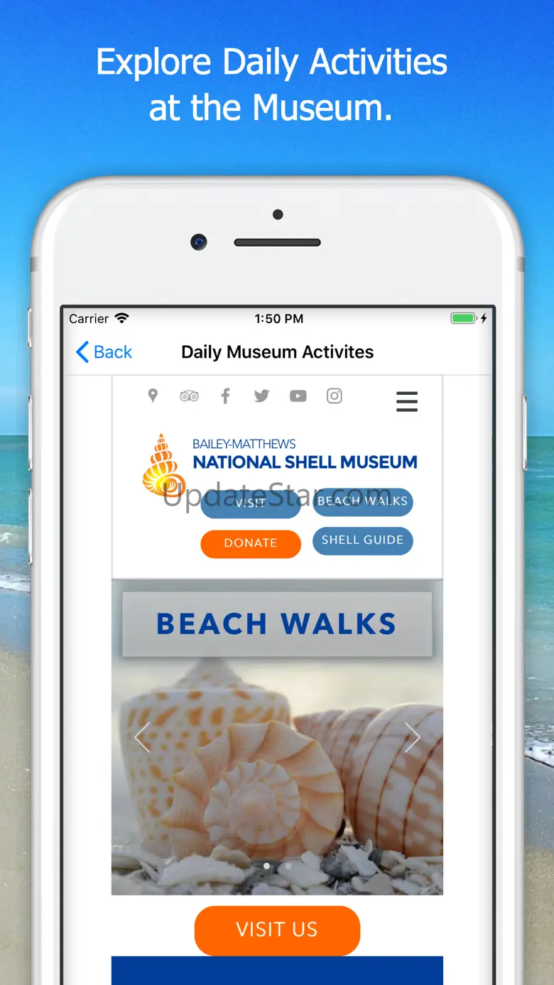 Shell Museum: Identify Shells 1.0.30
