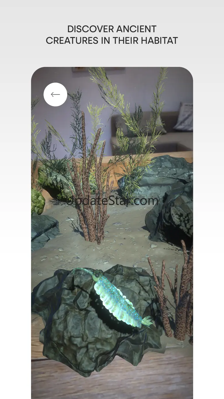 Museum Alive 2.1