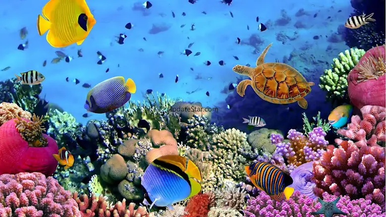 Ocean Fish Live Wallpaper 9.0