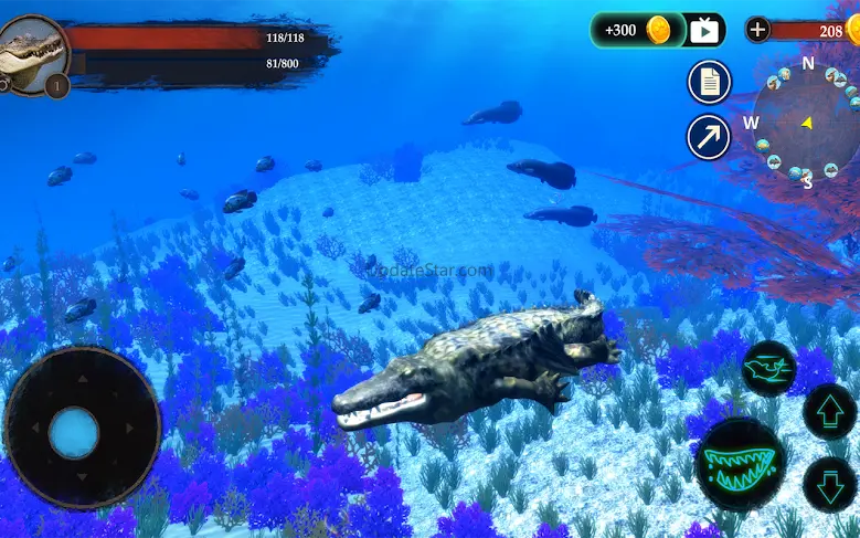 The Crocodile 1.1.6