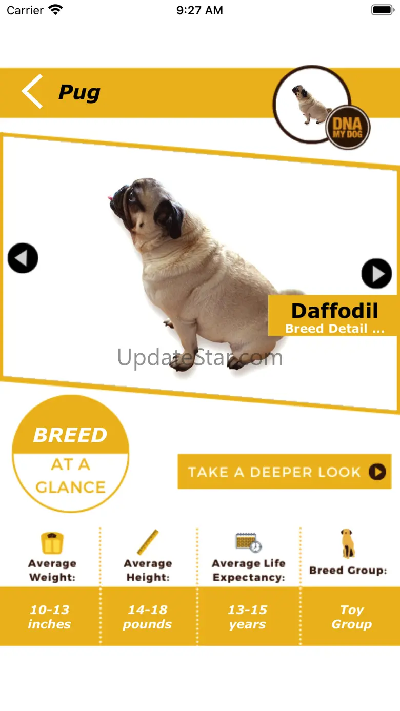 DNA My Dog 1.7