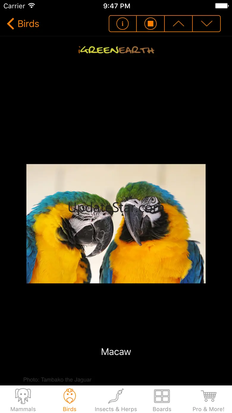 Animal Sounds and Noises 2.5