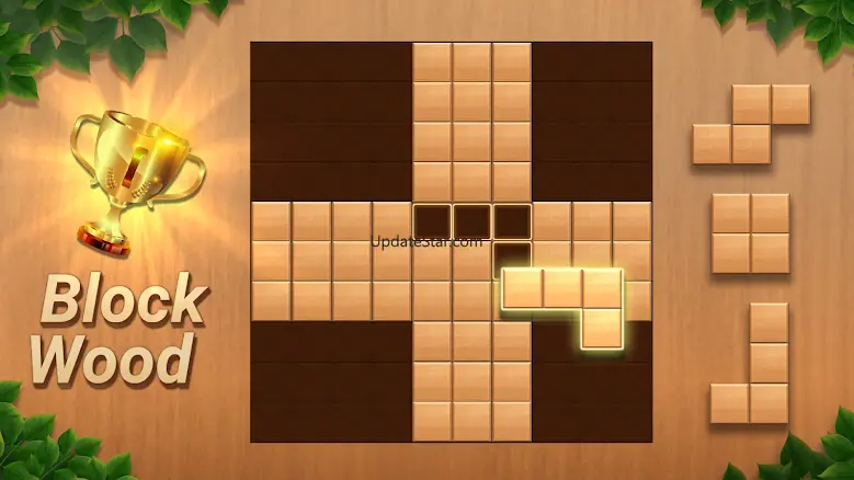 Q Block Puzzle - Wood Puzzle 27.3