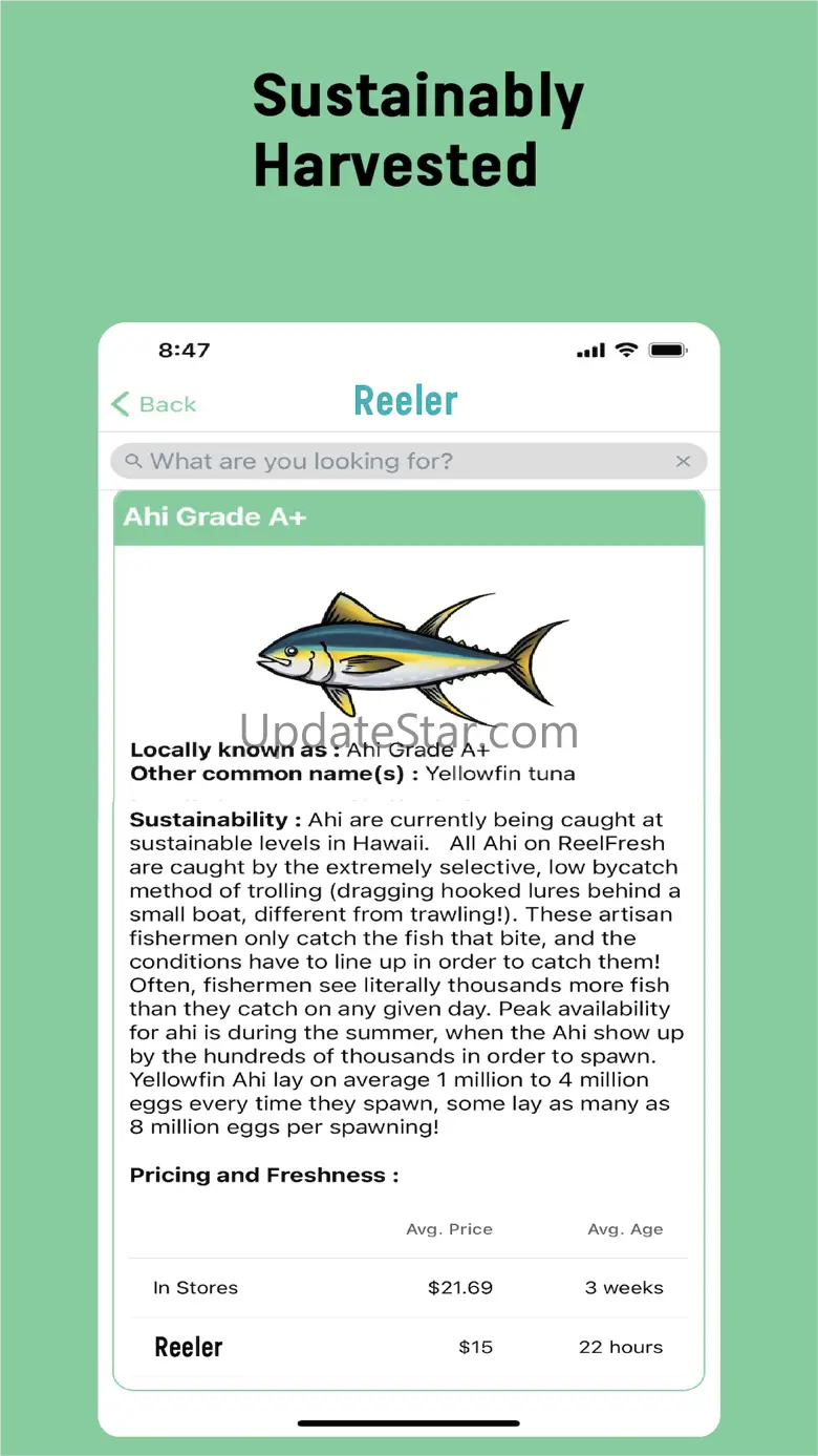 Reeler 2.8