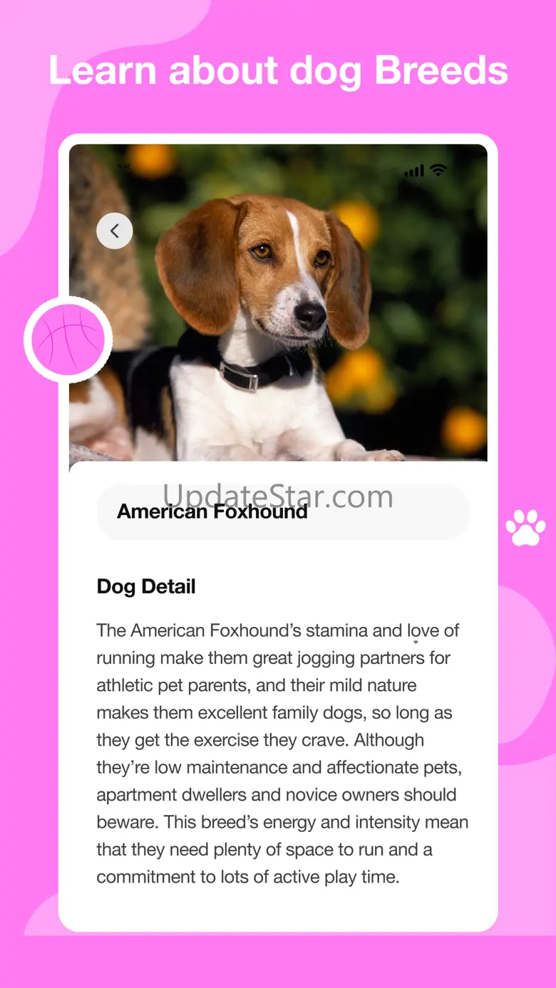 Dog scanner - Dog Breed ID 1.1