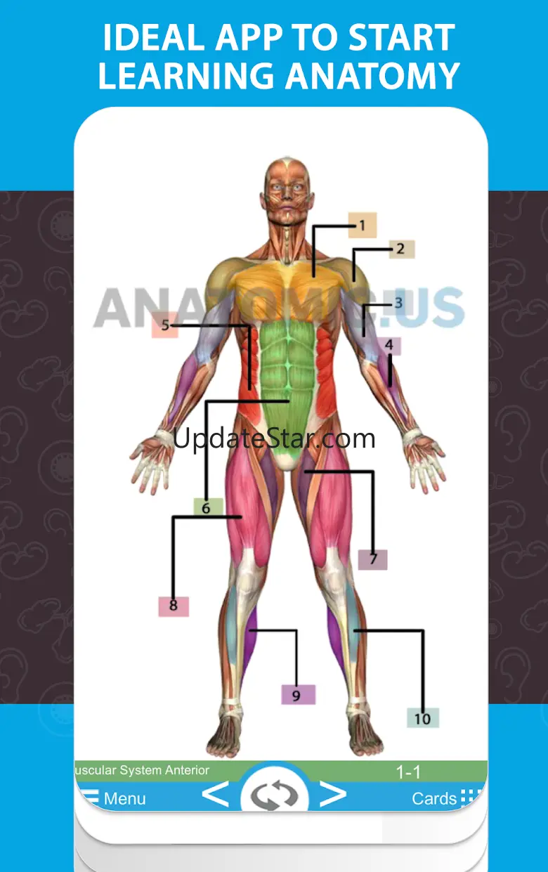 Anatomy Cards Anatomicus 1.0.9