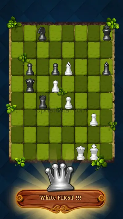 Knight chess: chess game 1.17.1