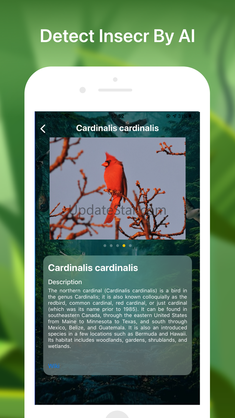 Bird identifier Bird Finder 1.0