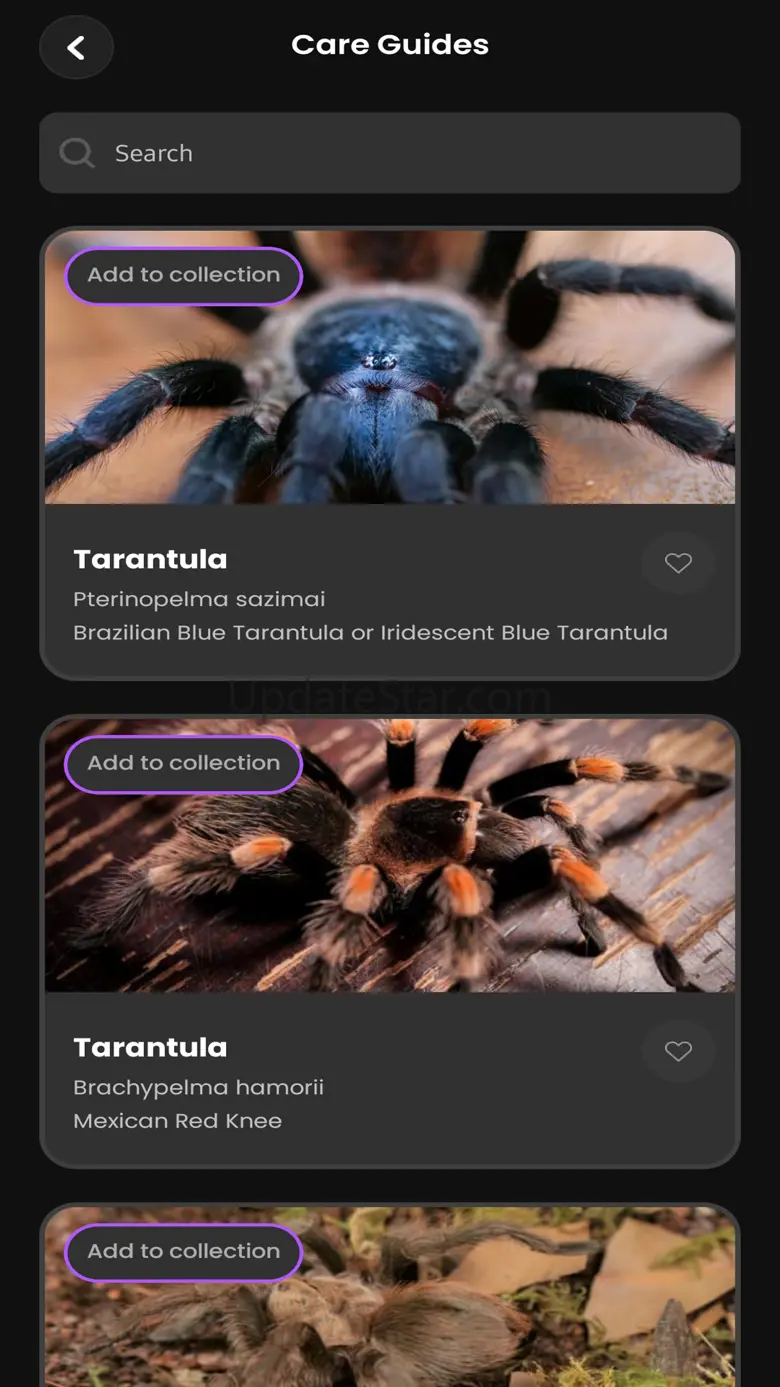 Arachnifiles 1.3.7