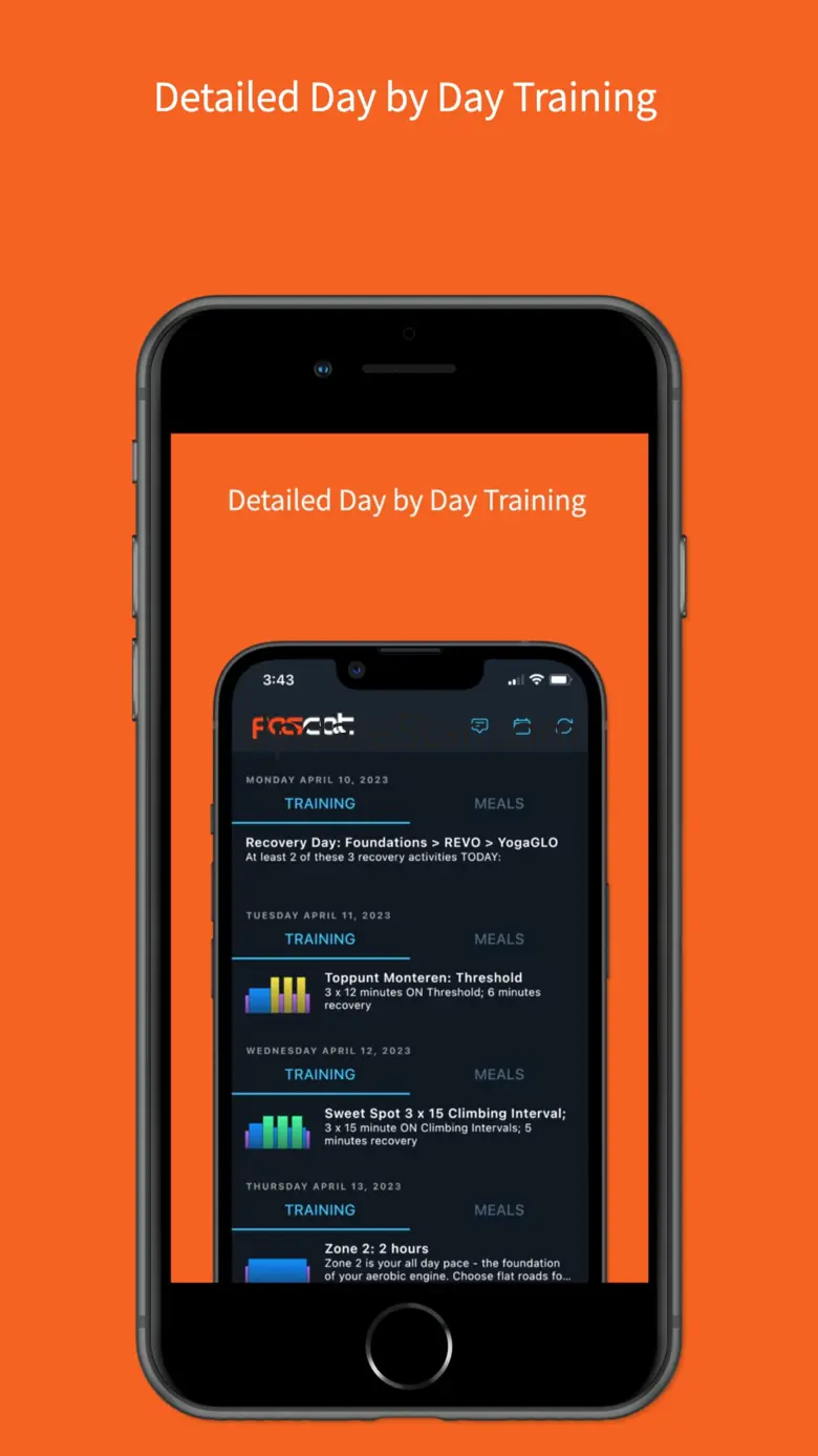 Optimize by FasCat 2.3.5