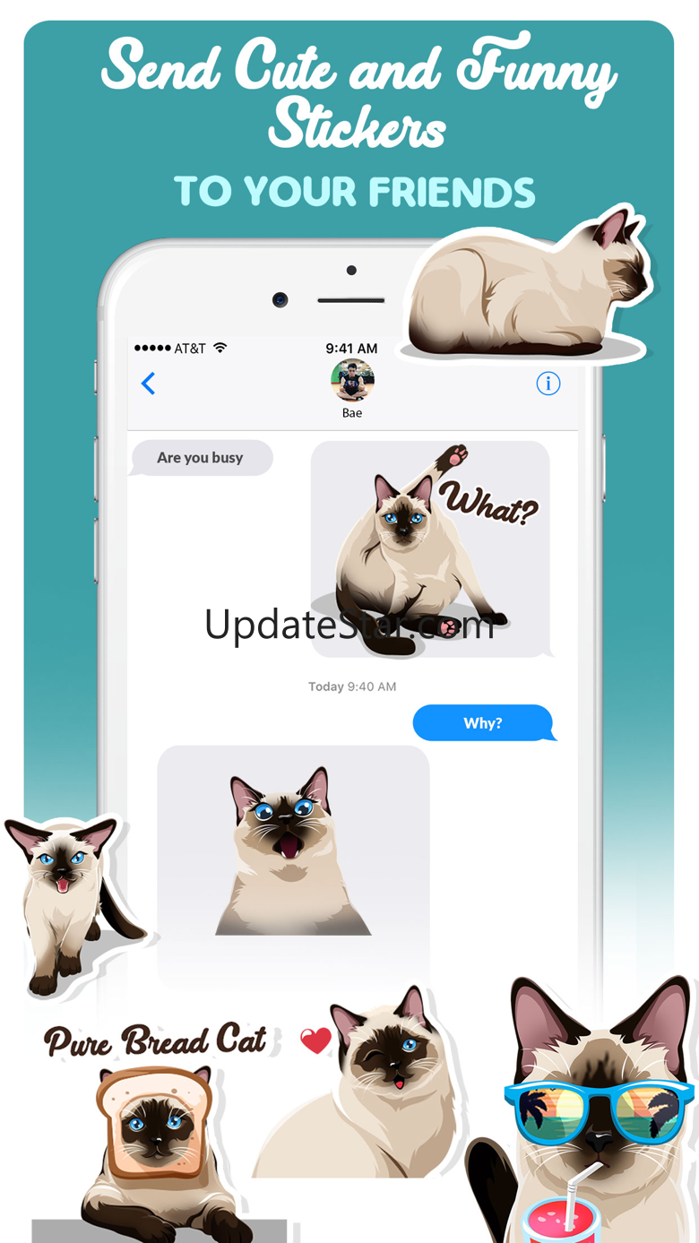 Siamese Cats Emoji Sticker 1.2