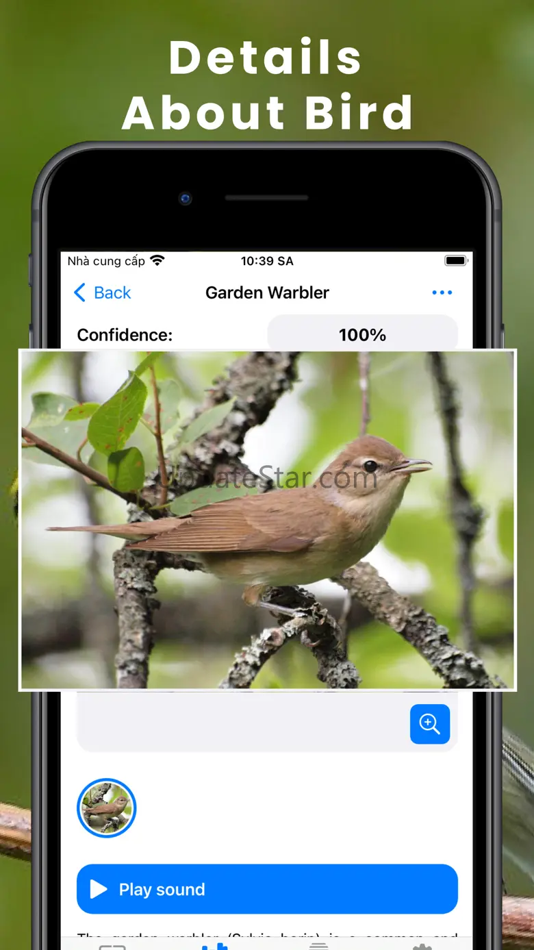 Bird Identifier by Sound ID! 1.0.8