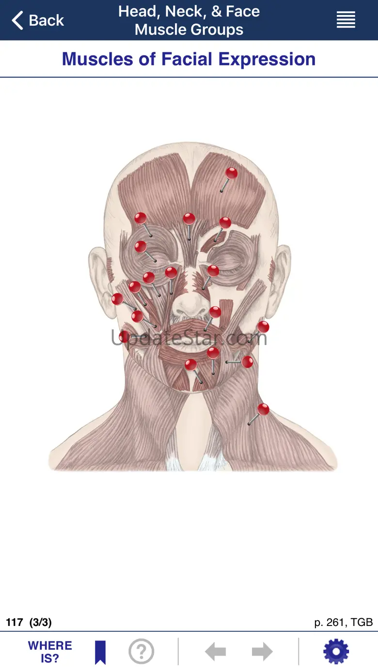 AnatomyMapp Lite 2.31
