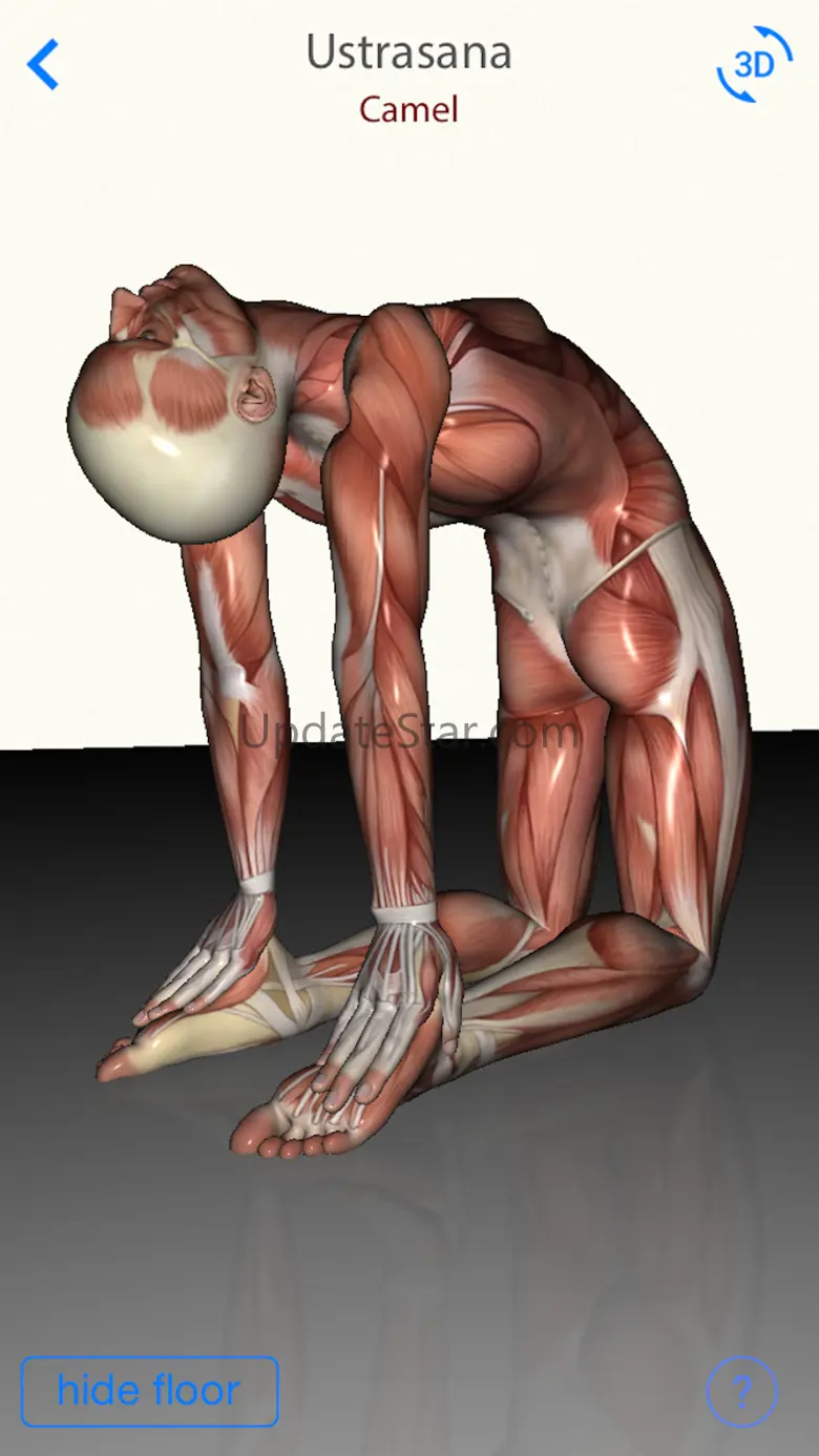 3D Yoga Anatomy 3D Yoga Anatomy - Guide & Reference
