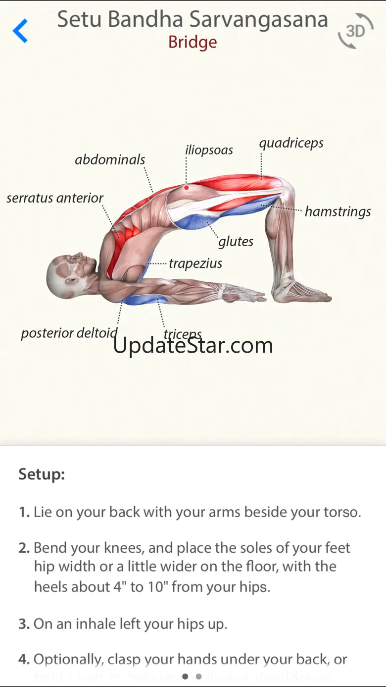 3D Yoga Anatomy Lite 3.1