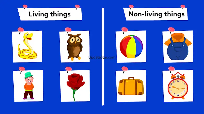 1st Grade Kids Learning Games 6.7.1