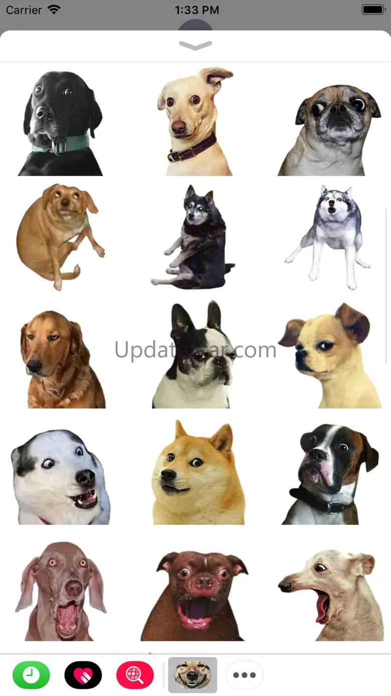 Funny Doge Animated Stickers 3.0