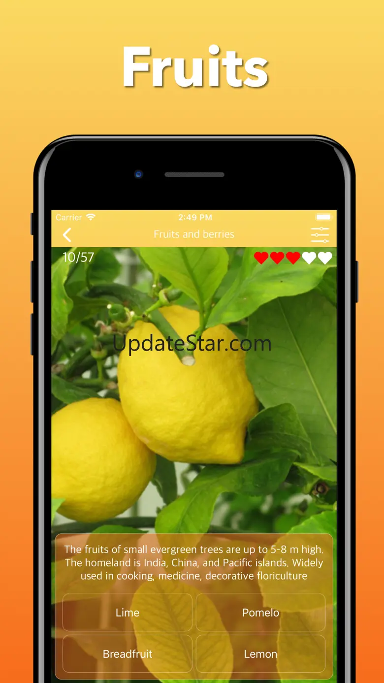 Fruits, Vegetables & Berries 1.1