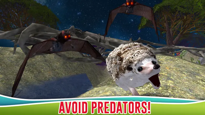 Forest Hedgehog Simulator 3D 1.0