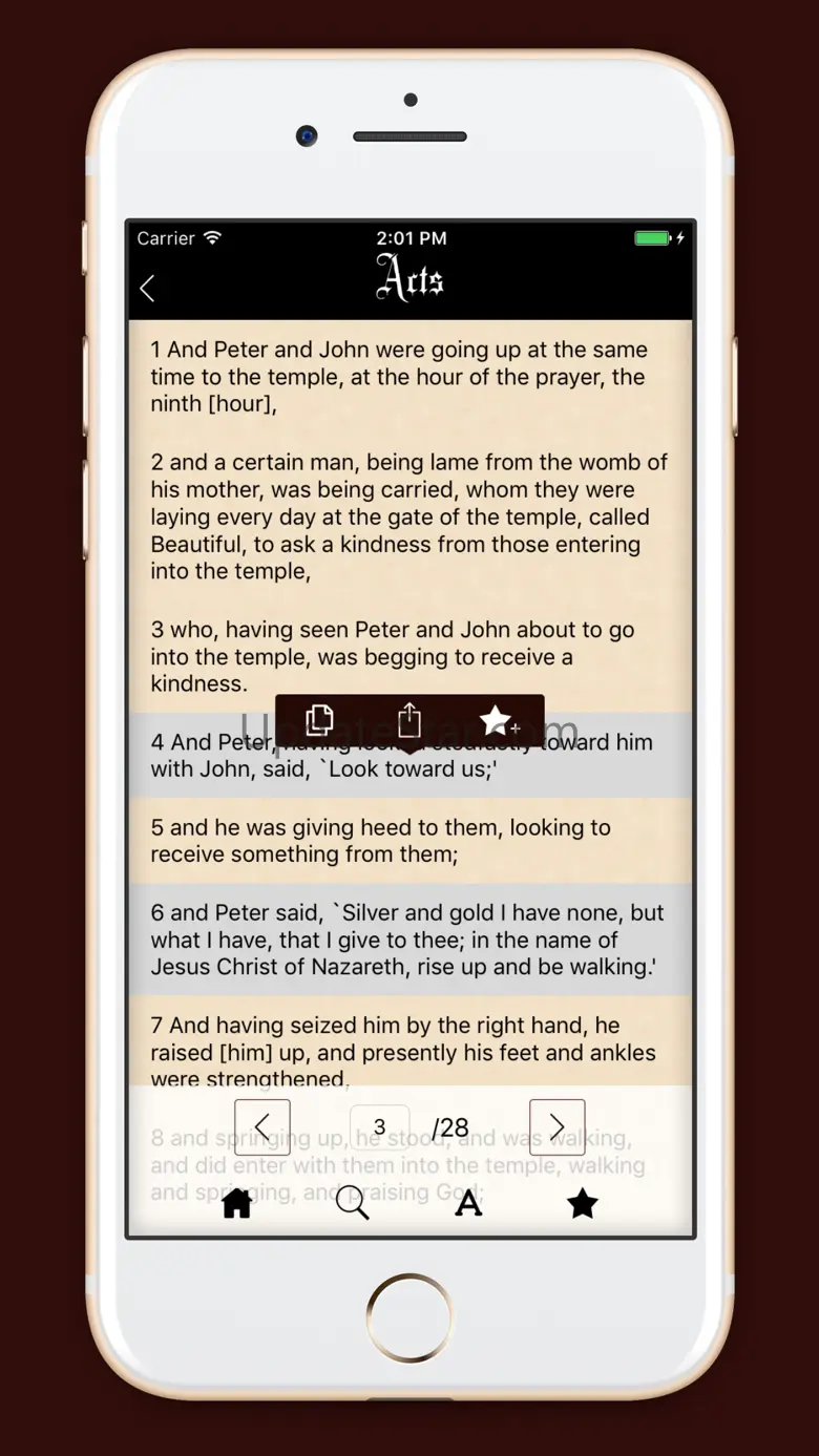 Young's Literal Bible (YLT) 1.6