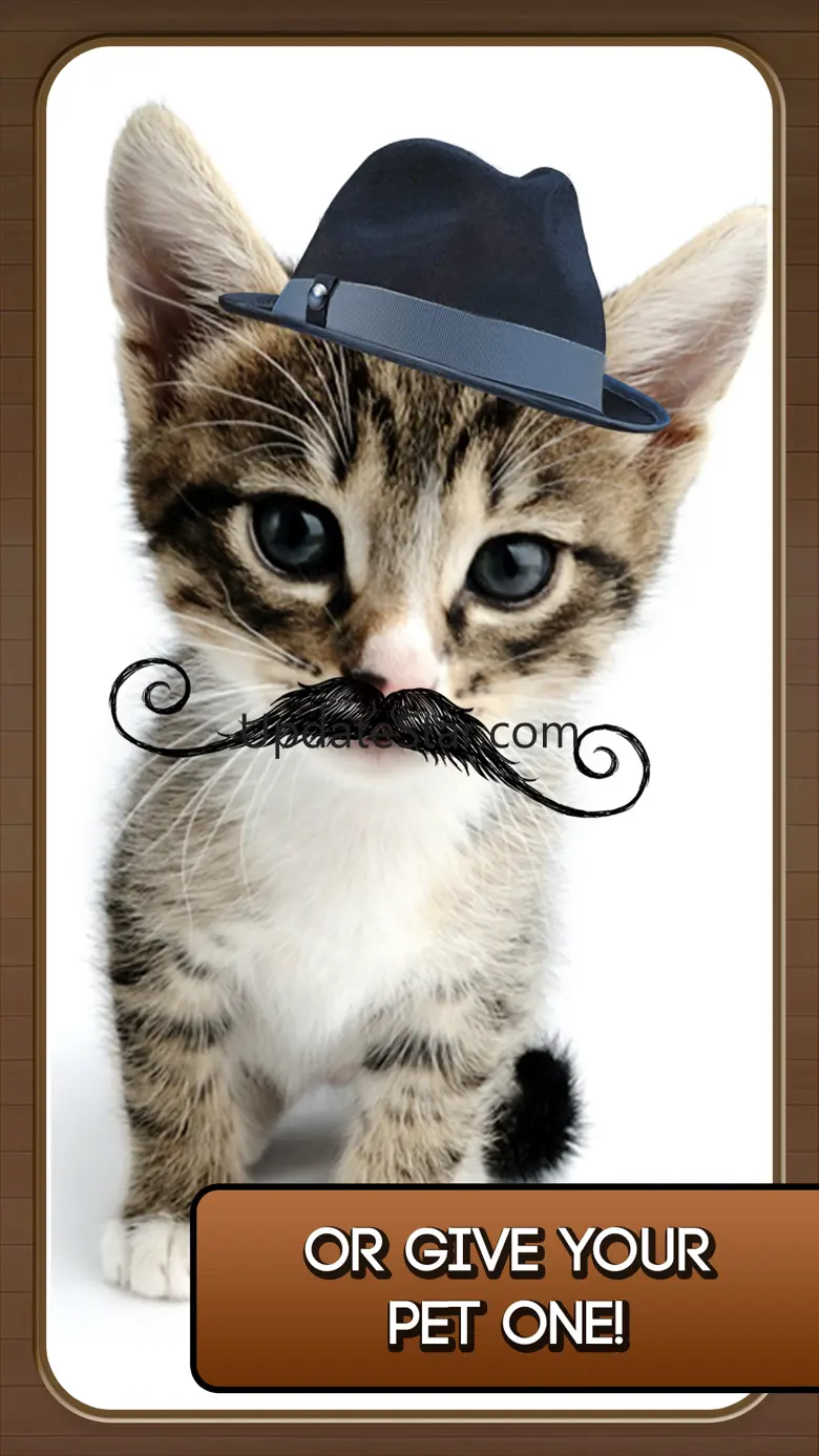 Mustache Booth - A Funny Facial Hair Photo Editor 2.0