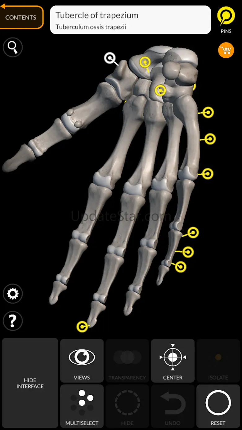 Skeleton 3D Anatomy 6.1