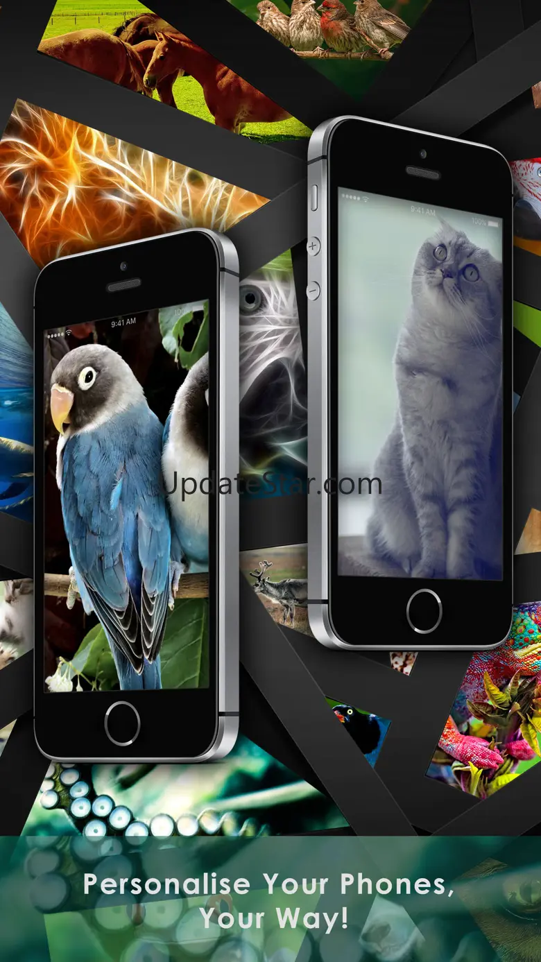 Cool Animals HD Awesome Themes & Wallpapers 1.0