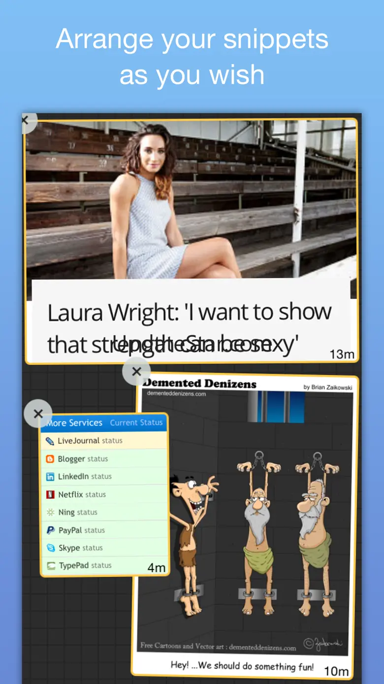 NetSnips: Web Clips Dashboard 3.9.2
