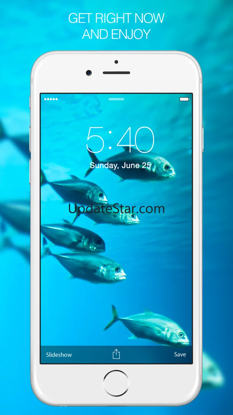 Fish Pictures – Fish Wallpapers & Backgrounds 9.4