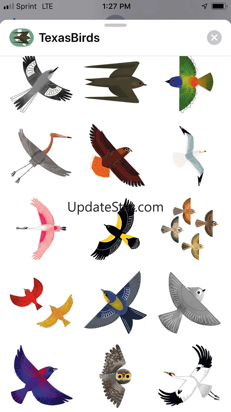 Texas Birds Sticker Pack 1.0