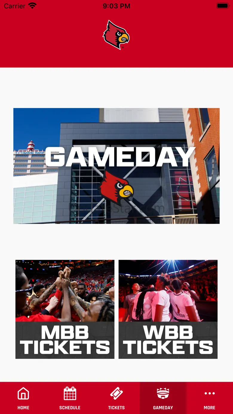 Louisville Cardinals 4.1.1
