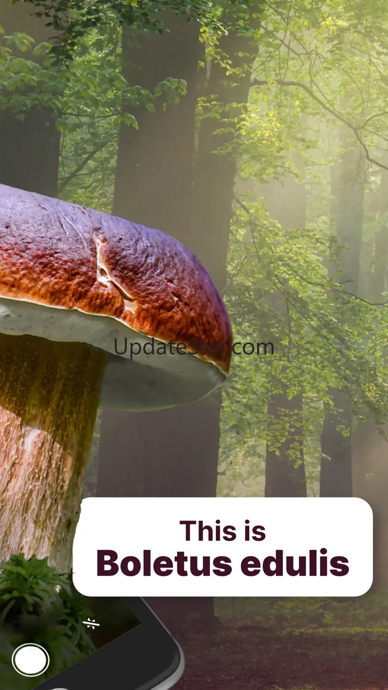 Mushroom Identification! 2.4.3