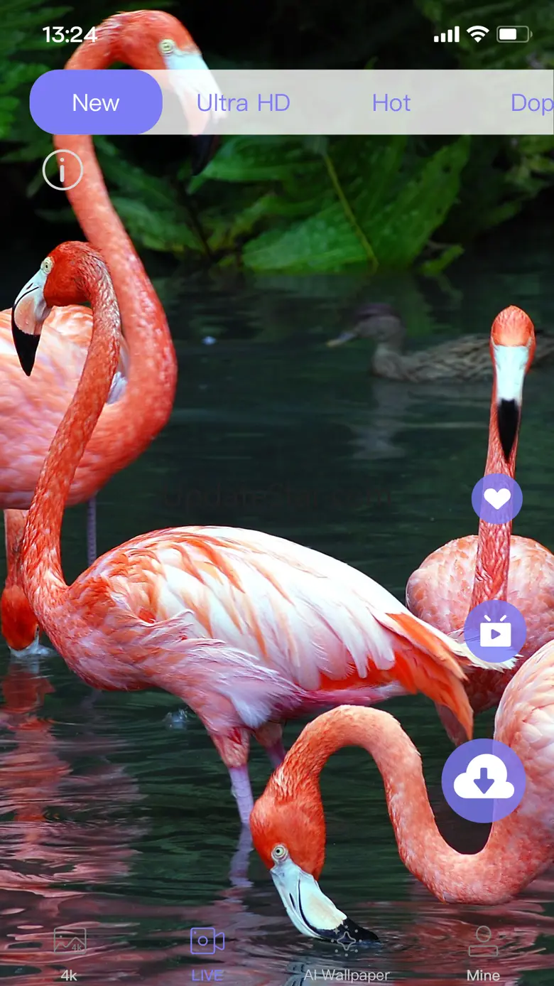 Live Wallpaper Light 1.0.8