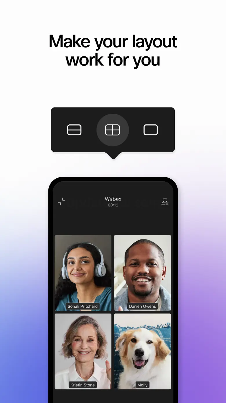 WebEx 44.7.0.30141