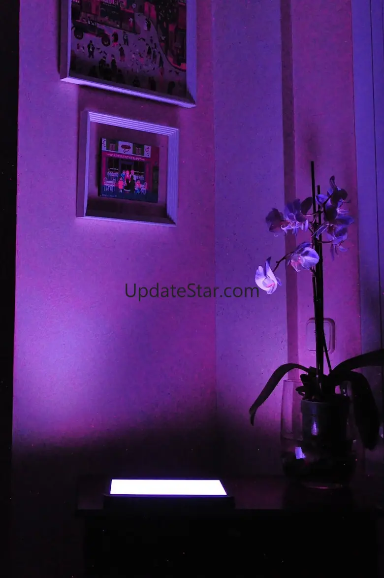 Night Ambient Lights 1.6-20220309-prod