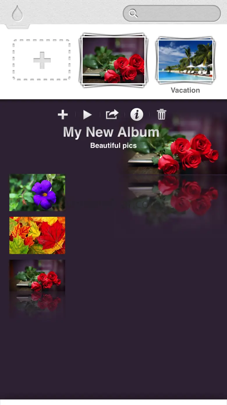Eternalbum 4.1