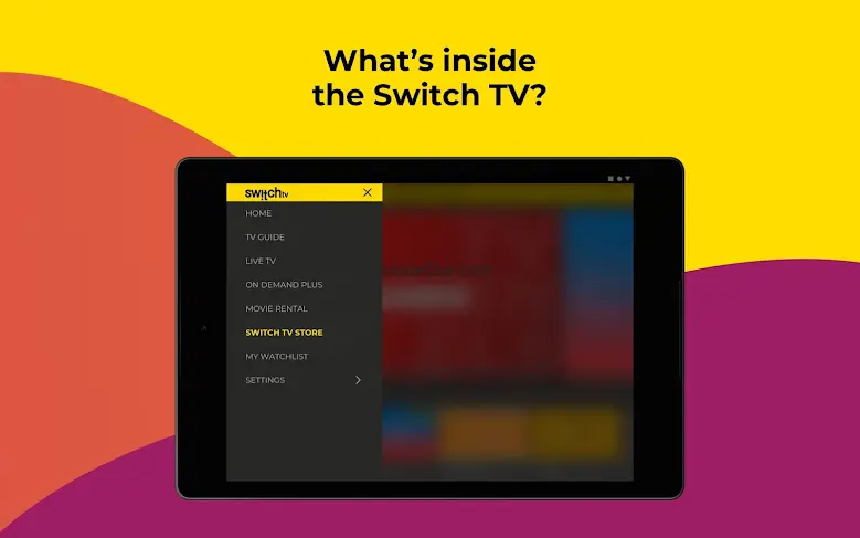 Switch TV 2.234.3/AC23.4.3/7071cc7802