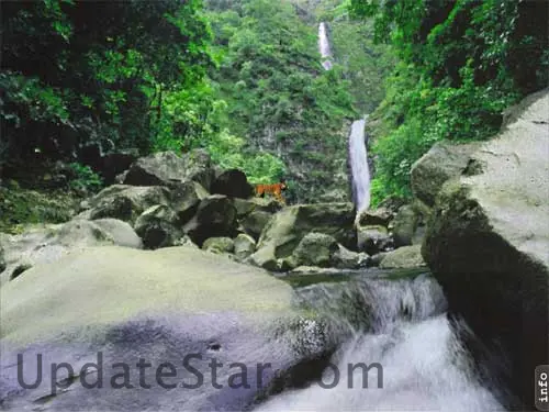 AD Jungle Waterfall - Animated Desktop Wallpaper 5.7