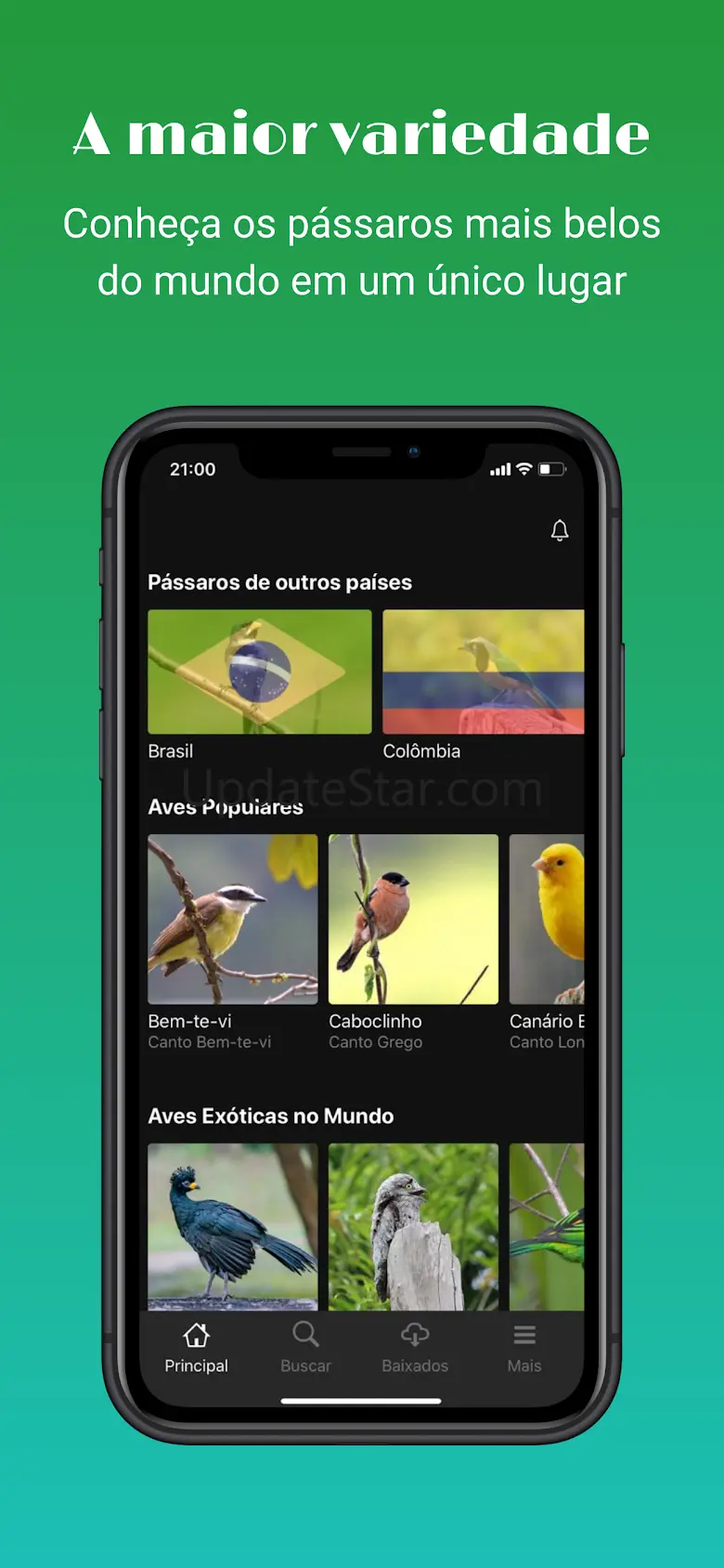 Sounds of birds 3.6.2