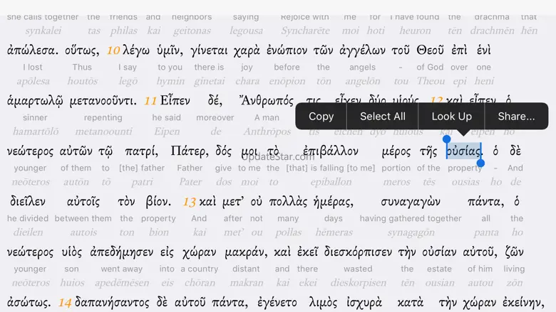 Interlinear Bible 2.4