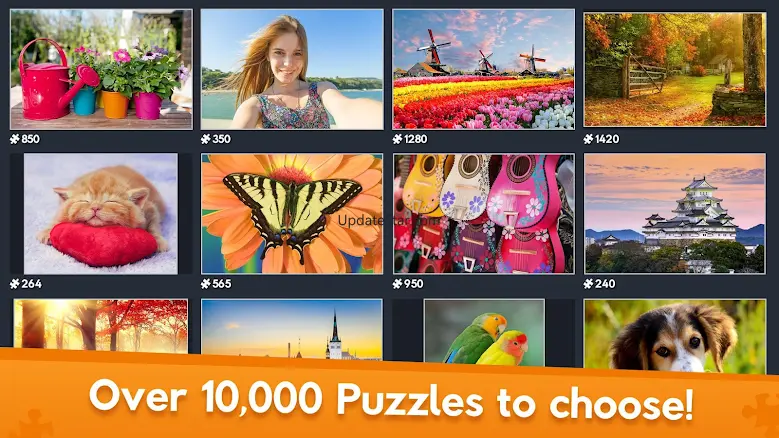 Jigsaw World