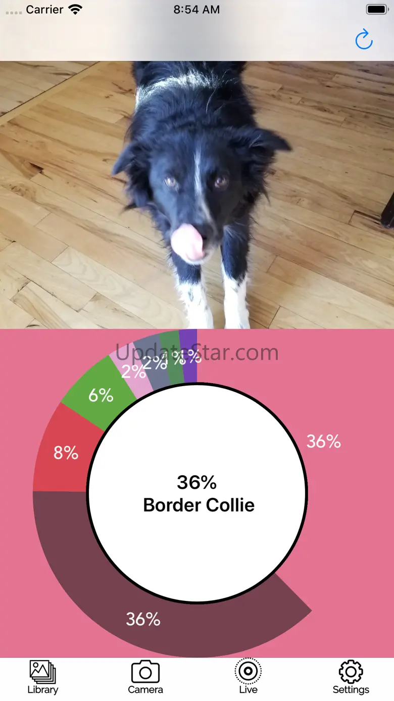 Dog Breed AI Classifier 2.5