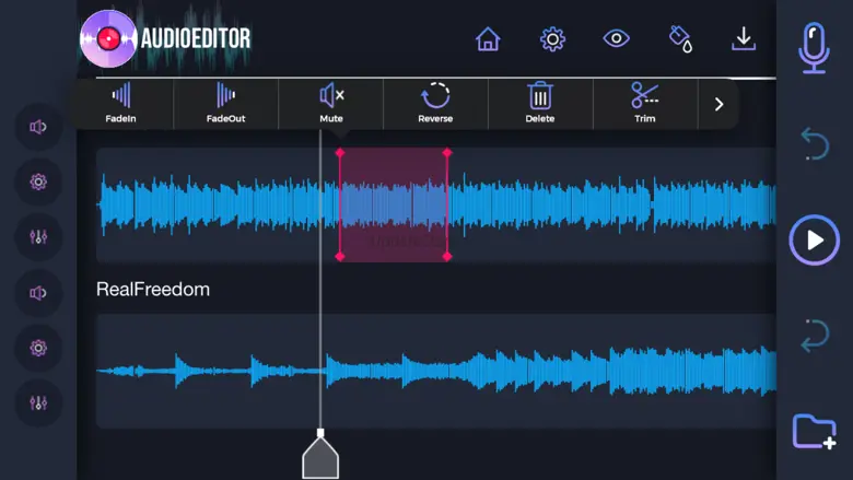 Audio Editor: Recording Studio 5.0